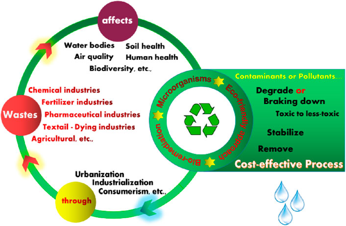 The Role of Oxidizing Agents in Recycling: Comparing Caluanie's efficiency to traditional industrial recyclers